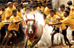 Teenager gored to death during Jallikattu festival in Tamil Nadus Madurai